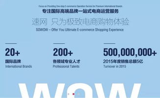 浙江华睿投资控股 数字化转型浪潮中的数据处理服务新篇章