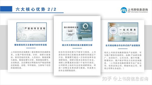 SYB需求分析问卷 消费者需求研究与数据处理服务